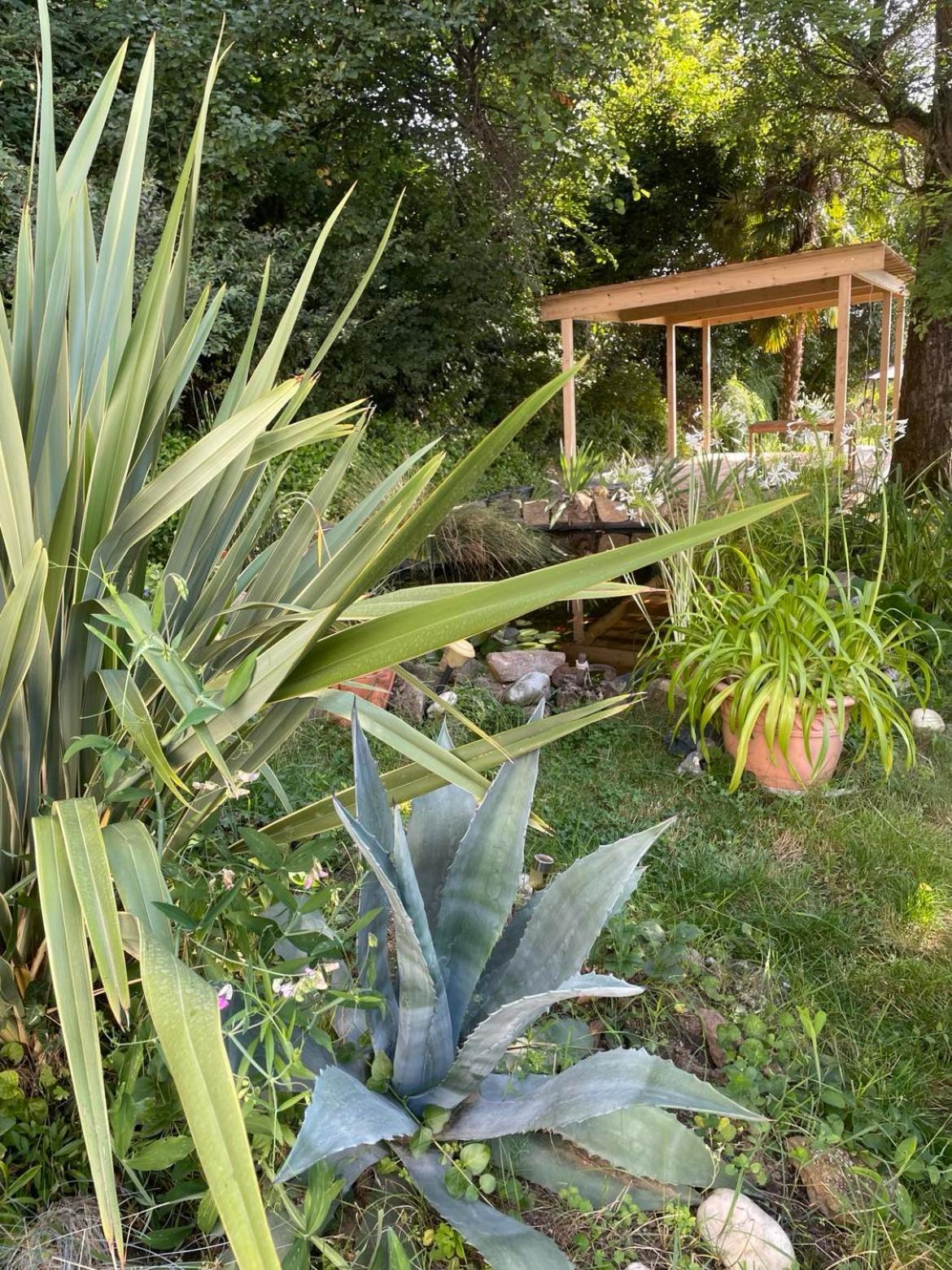 Vaux-en-Beaujolais Les Agapanthes Bed & Breakfast エクステリア 写真