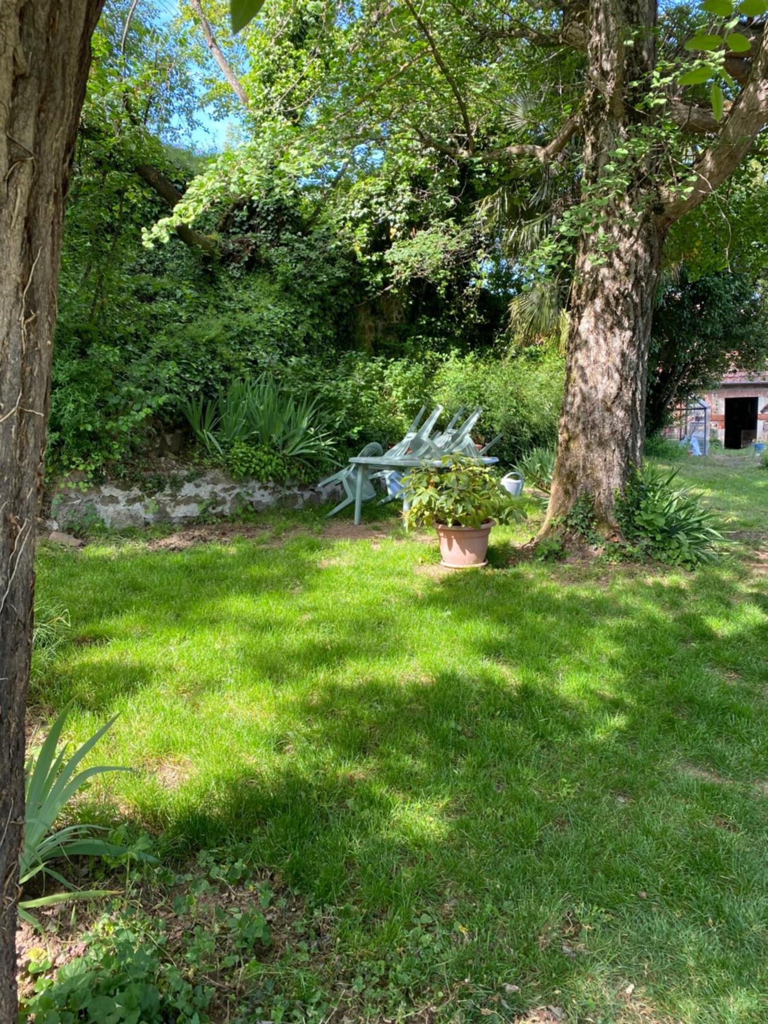 Vaux-en-Beaujolais Les Agapanthes Bed & Breakfast エクステリア 写真